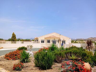 Villa Los Morillos : Resale Villa in Albox, Almería