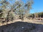 Villa Carrie: Resale Villa for Sale in Los Martinez (Sorbas), Almería