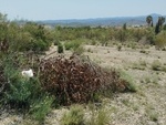 Villa Castillo: Resale Villa in Partaloa, Almería