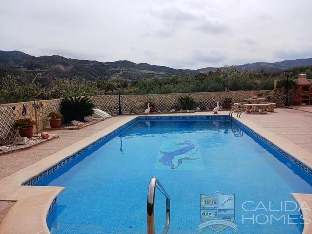 Villa Dragonfly : Resale Villa for Sale in Arboleas, Almería