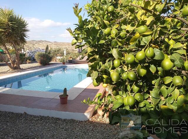 Villa Floral: Resale Villa for Sale in Arboleas, Almería