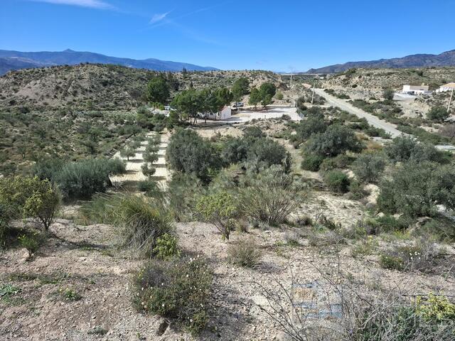 Villa Freesia : Resale Villa for Sale in Partaloa, Almería