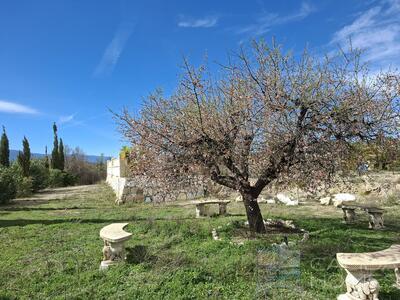 Villa Freesia : Resale Villa in Partaloa, Almería