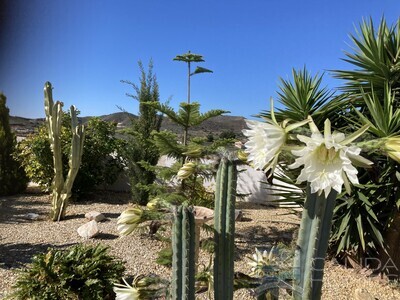 Villa Gerbera: Resale Villa in Arboleas, Almería