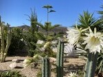 Villa Gerbera: Revente Villa à vendre à Arboleas, Almería