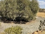 Villa Labores: Resale Villa for Sale in Albox, Almería