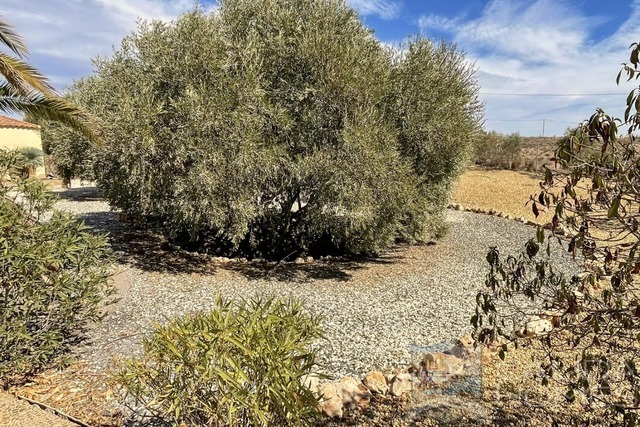 Villa Labores: Resale Villa for Sale in Albox, Almería