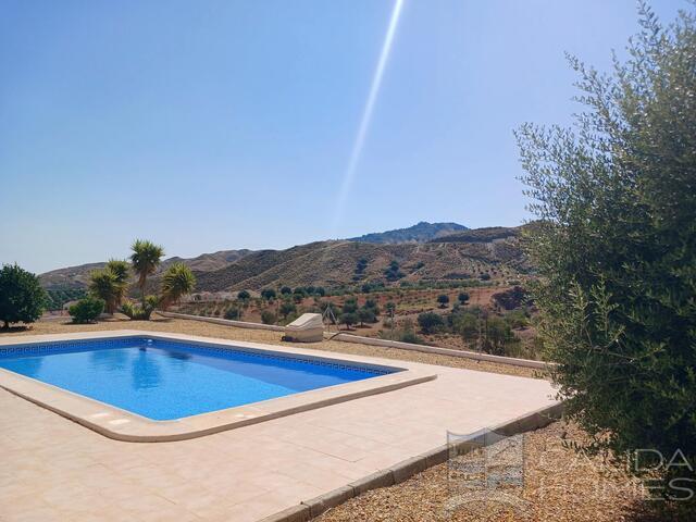 Villa Los Colorados: Resale Villa for Sale in Arboleas, Almería