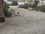 Villa Marlia: Resale Villa for Sale in Arboleas, Almería