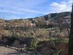 Villa Mimosa: Resale Villa for Sale in Arboleas, Almería