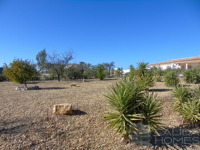 Villa Peace: Resale Villa for Sale in Albox, Almería