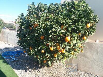VILLA PETUINA: Resale Villa in Arboleas, Almería