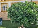 Villa Spectacular : Resale Villa for Sale in Arboleas, Almería