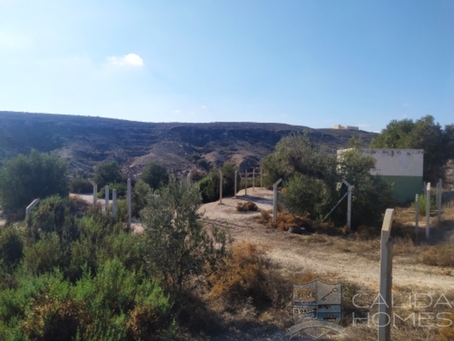 Villa Surprise : Resale Villa for Sale in Albox, Almería